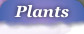 Plants button